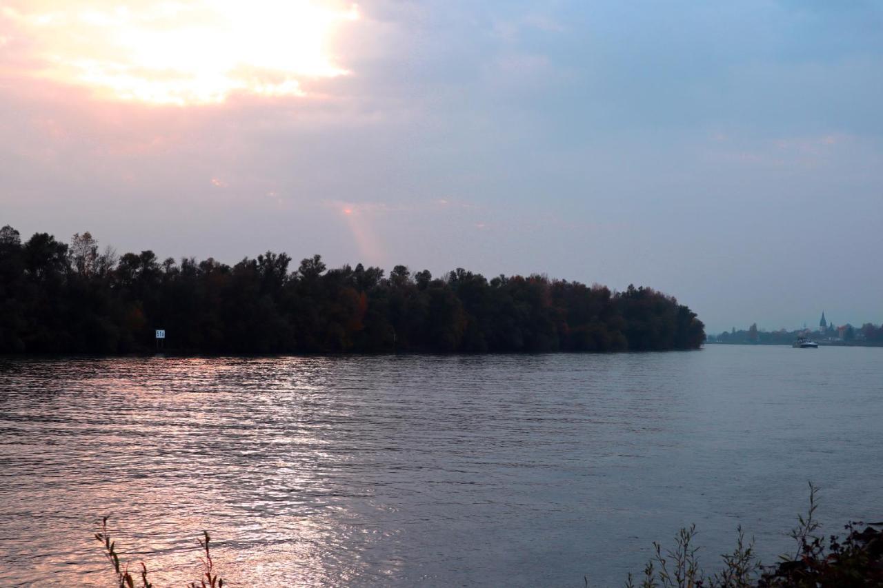 Rheinblick Boutique Art Gaestehaus 3* Hattenheim